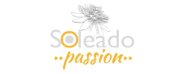 HANTESIS Linien Logo