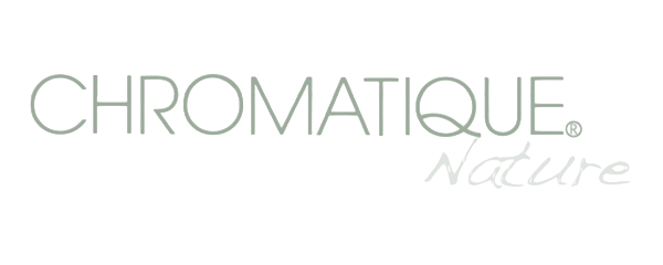 HANTESIS Linien Logo