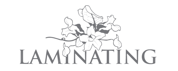 HANTESIS Linien Logo