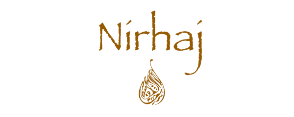 HANTESIS Linien Logo