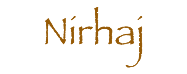 HANTESIS Linien Logo